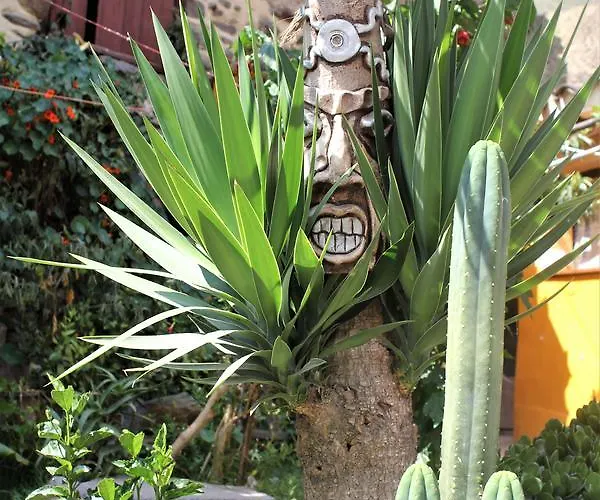 Killari Hostel Ollantaytambo